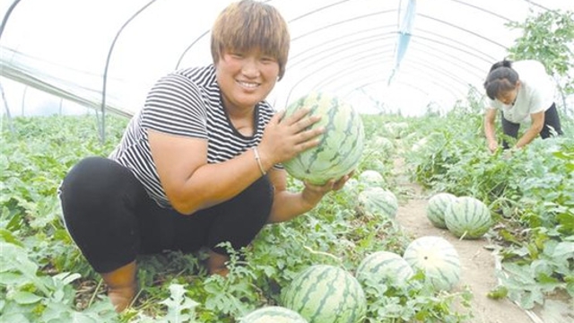 周營人的“甜蜜產業”